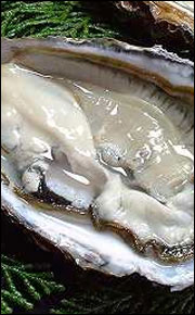 広島の牡蠣の画像