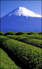 静岡から見た富士山の画像